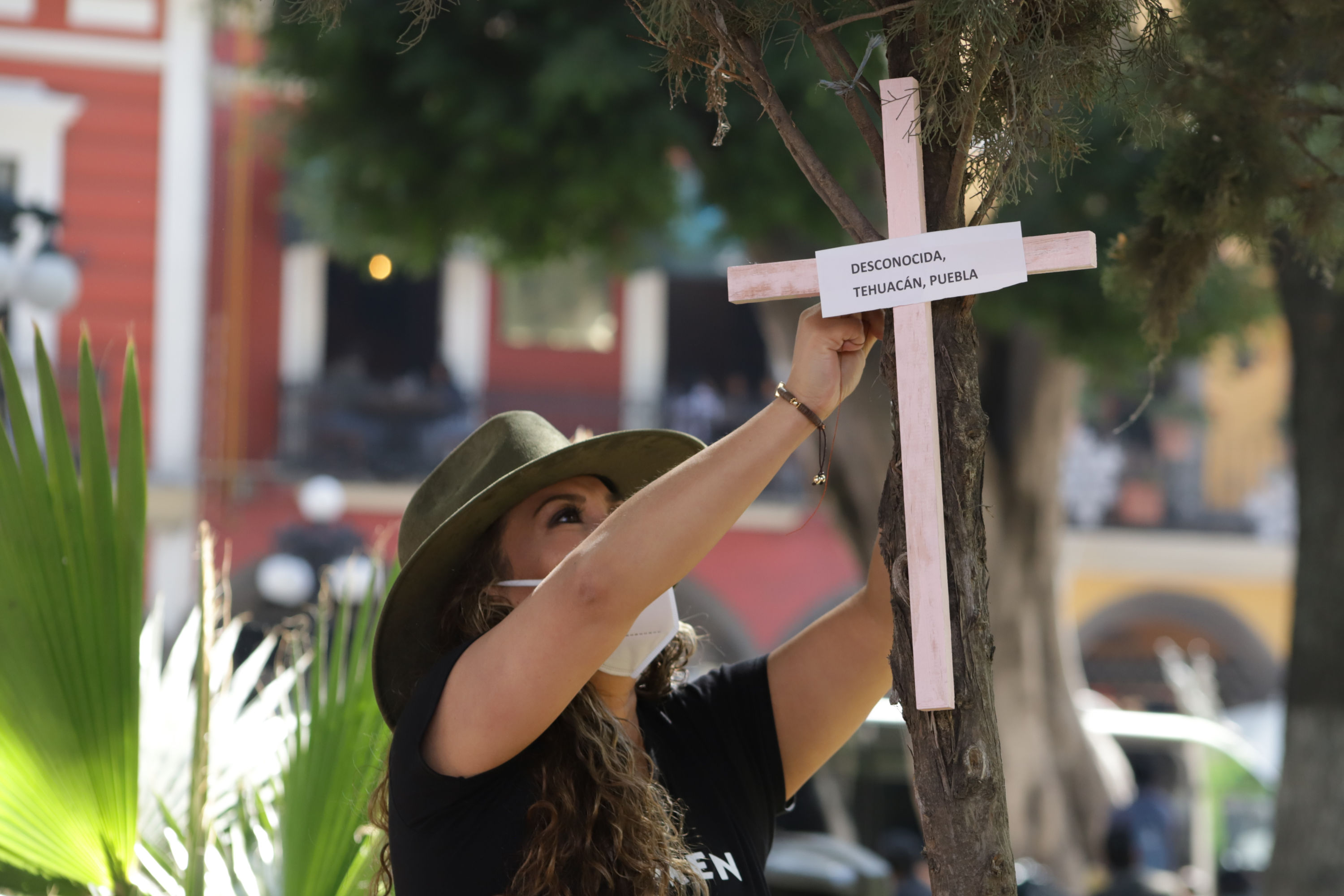 En el Zócalo colocan cruces por mujeres desaparecidas