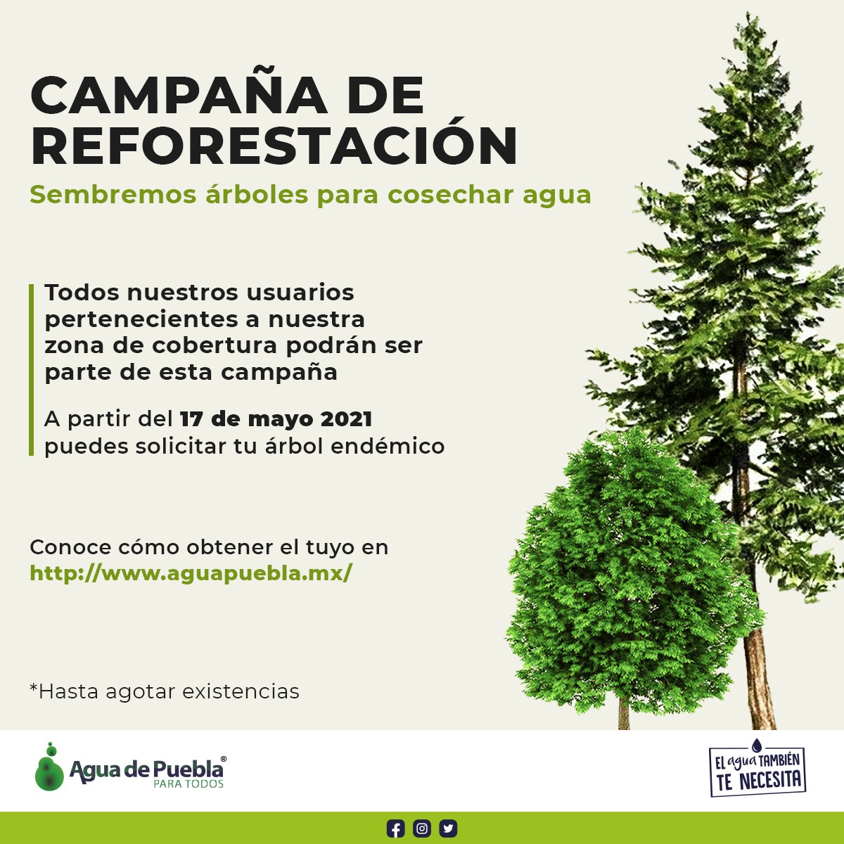 Agua de Puebla emprende la Campaña de Reforestación “ Sembremos Árboles para  Cosechar Agua” - Reto Diario