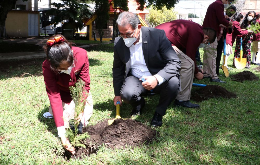 Pone en marcha SEP programa “Regresa a la Escuela con un Árbol” - Reto  Diario