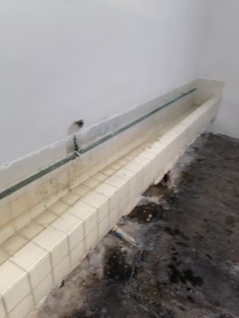 Baños