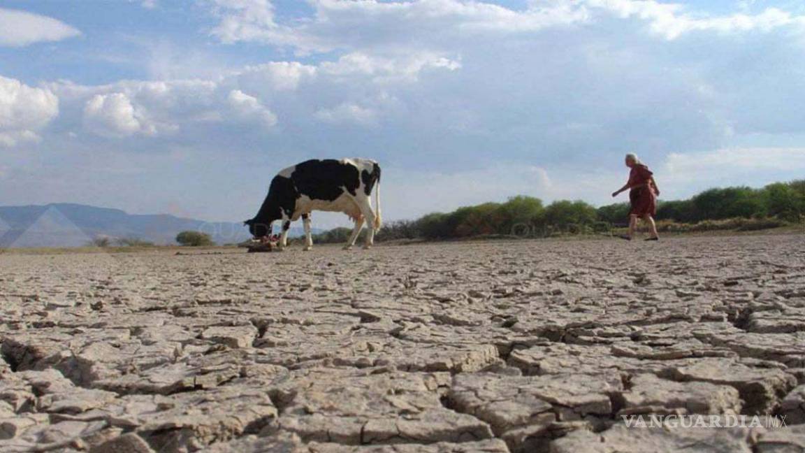 Emergencia Por Sequía En México Declara La Conagua Reto Diario 7027