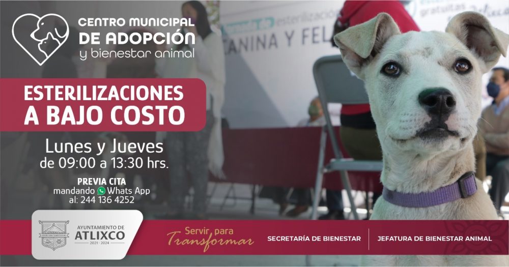 Jornada de esterilización