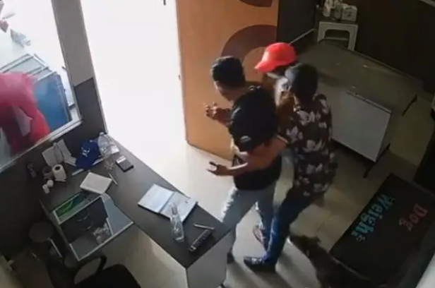 VIDEO Cámara de seguridad graba asalto violento en veterinaria de Cuautlancingo
