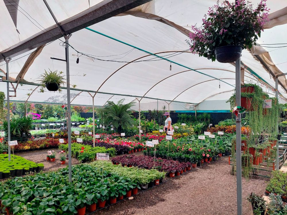 viveros-cabrera-atlixco