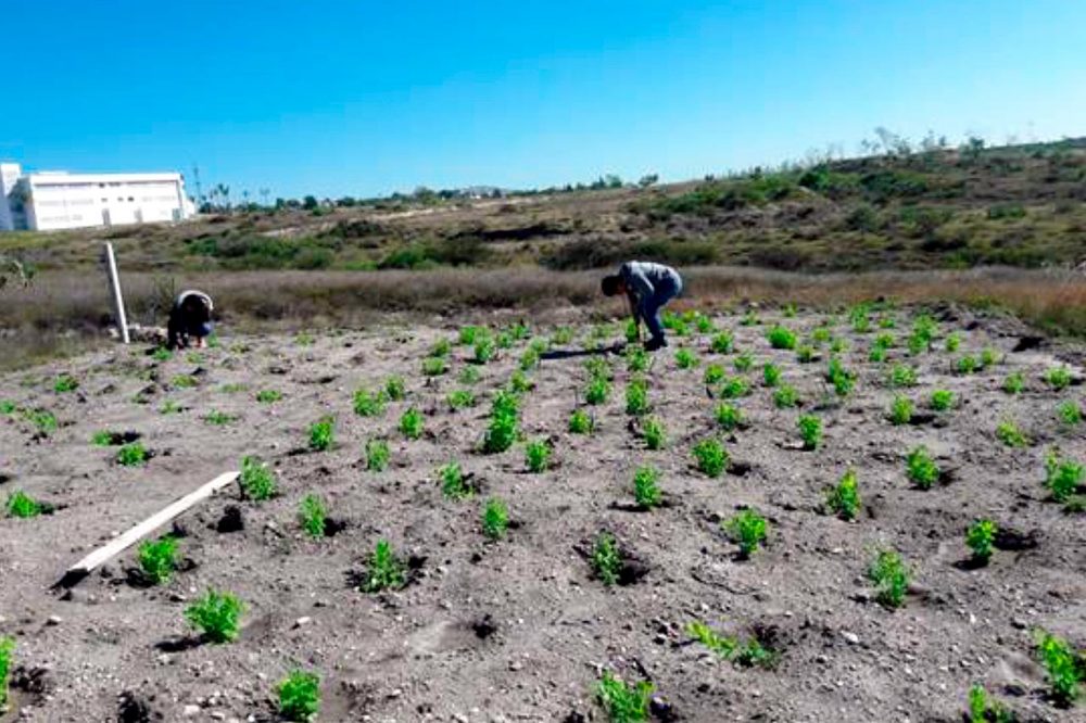 buap-ecocampus-valsequillo