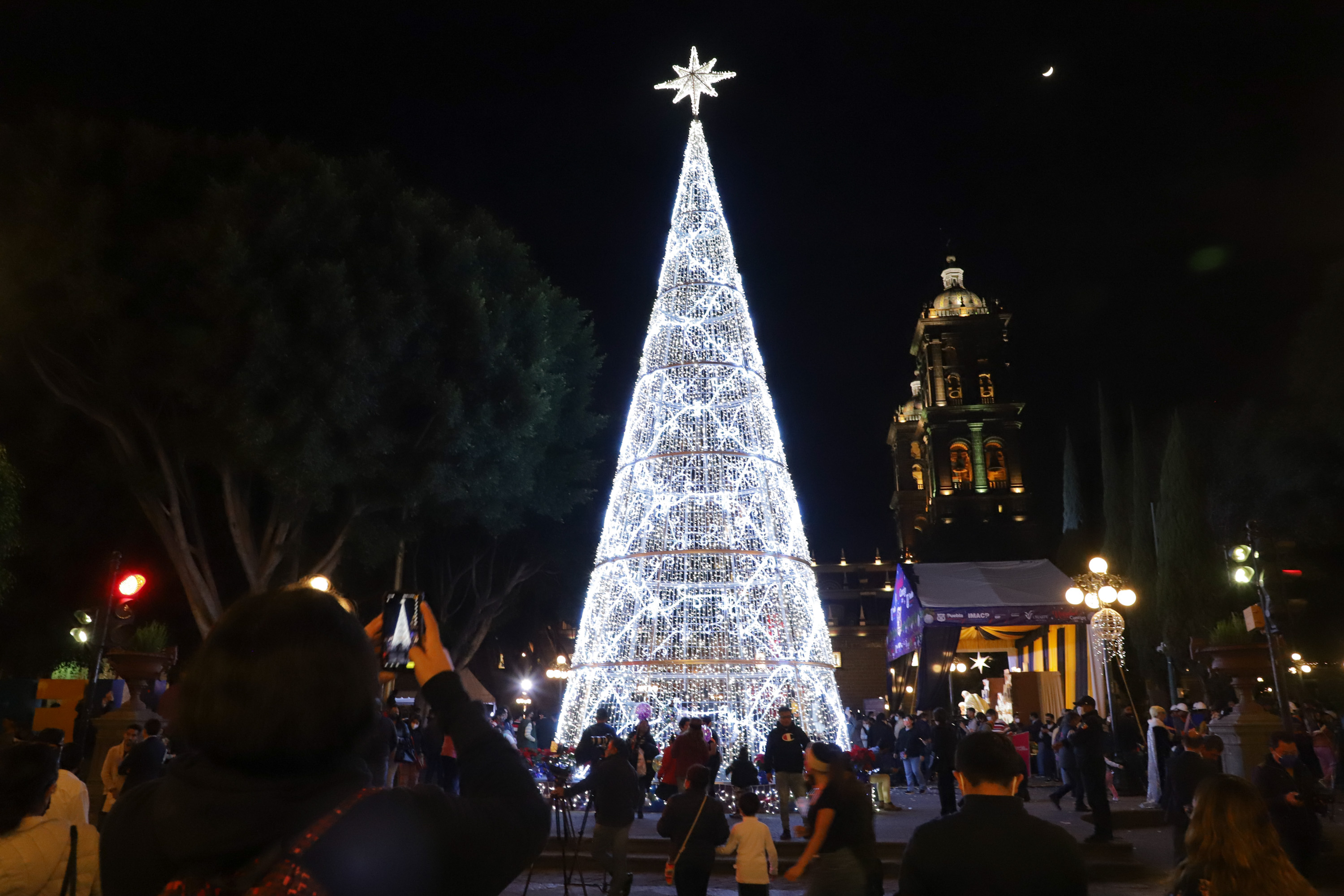 Ya hay fecha para el encendido del árbol de Navidad en el zócalo de Puebla  - Reto Diario